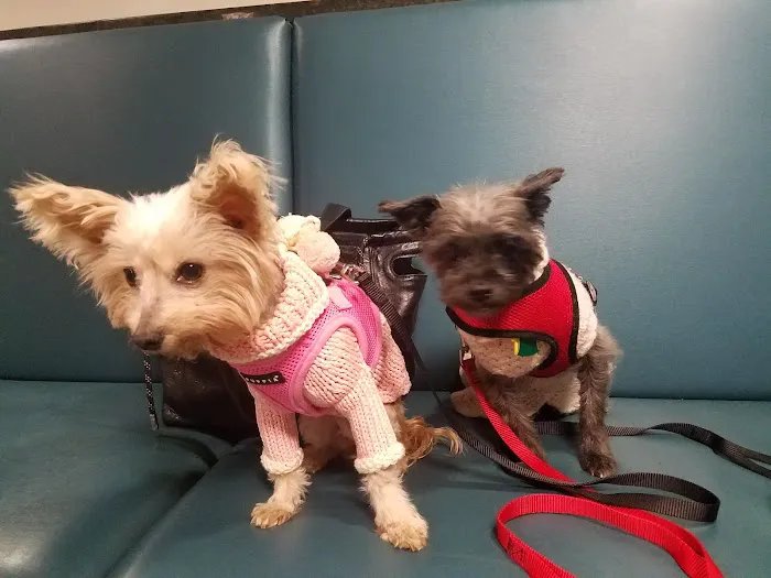 Center for Veterinary Care Picture 2