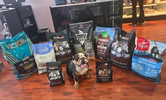 Canine Cuisine Picture 7
