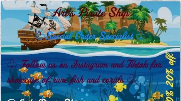 ART'S PIRATE SHIP Picture 8