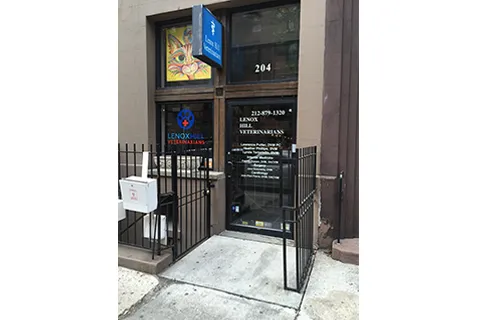 Lenox Hill Veterinarians Picture 2