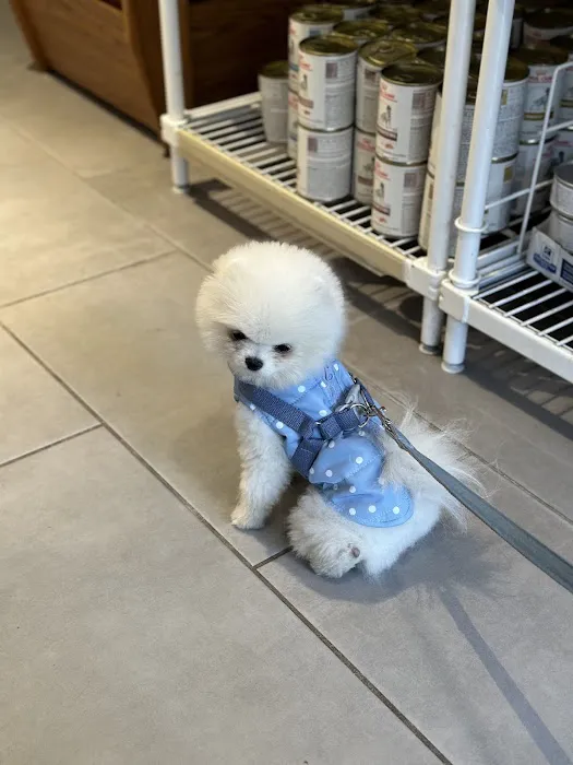 Lenox Hill Veterinarians Picture 6