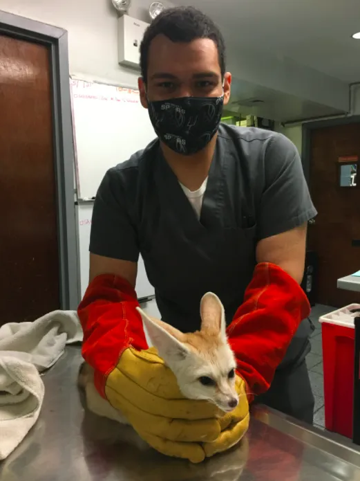 Lenox Hill Veterinarians Picture 10