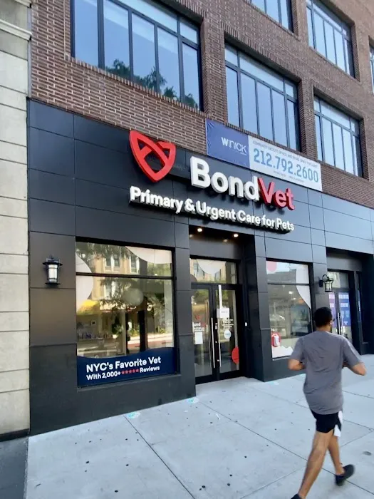 Bond Vet - Astoria Picture 3