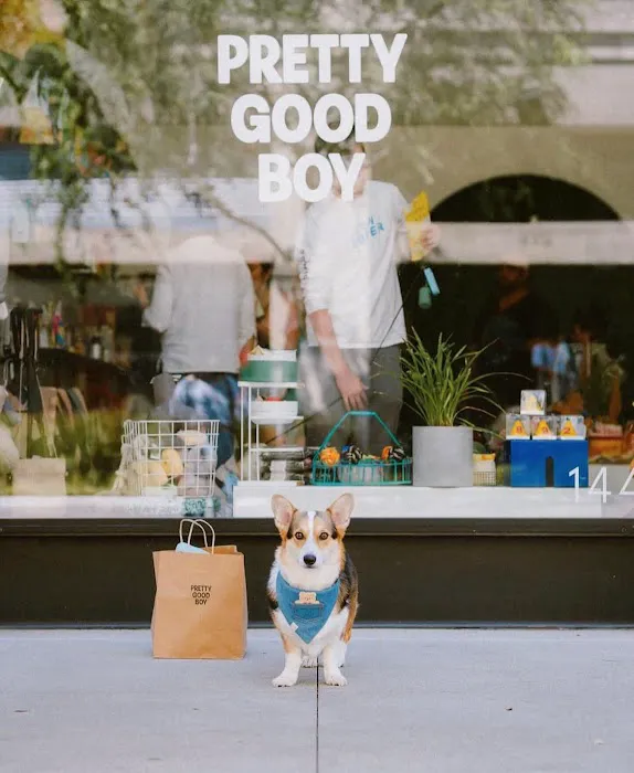 Pretty Good Boy Picture 2