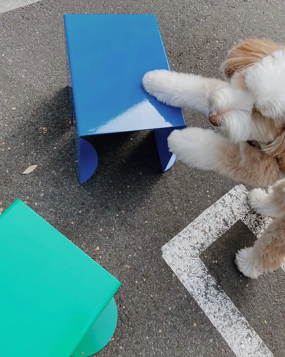 Pretty Good Boy Picture 9
