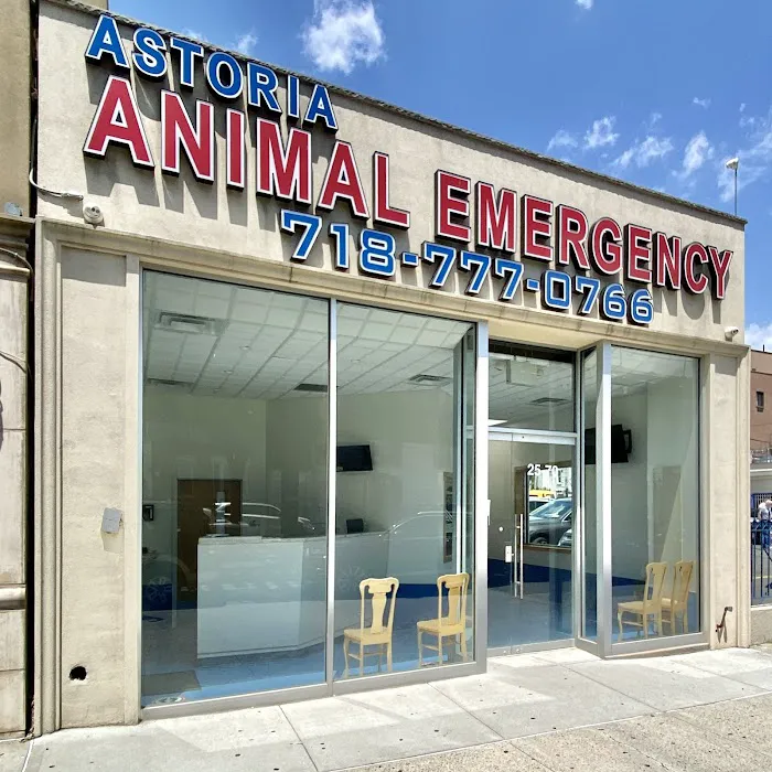 Astoria Animal Emergency Picture 6