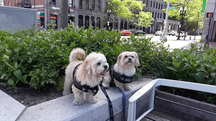 Astoria Animal Emergency Picture 5