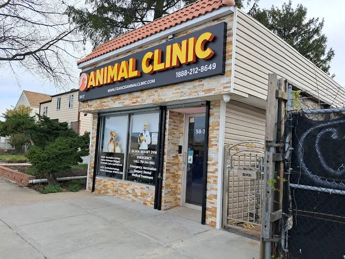 Francis Animal Clinic- Queens Picture 1