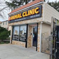 Francis Animal Clinic- Queens ico