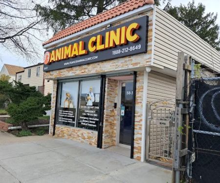 Francis Animal Clinic- Queens