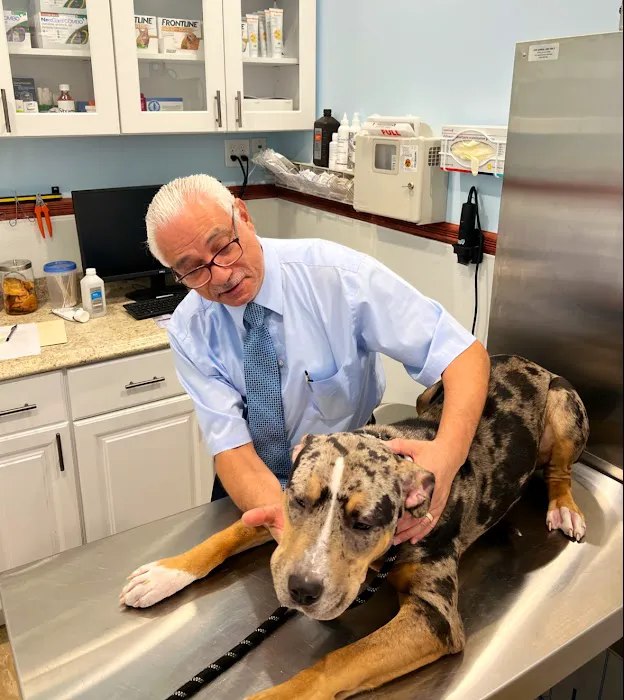 Francis Animal Clinic- Queens Picture 8