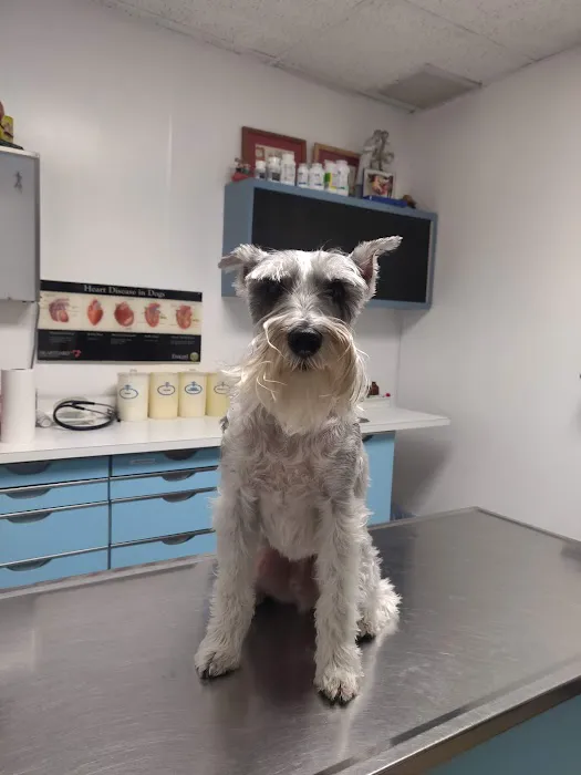 Petcare Animal Clinic Picture 4