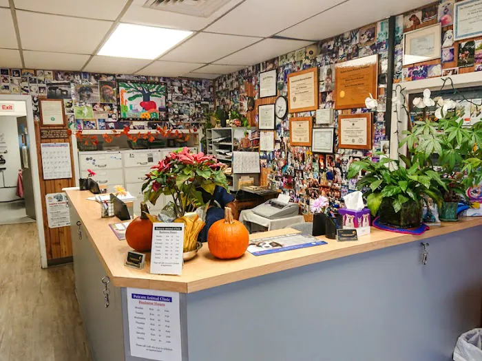 Petcare Animal Clinic Picture 7