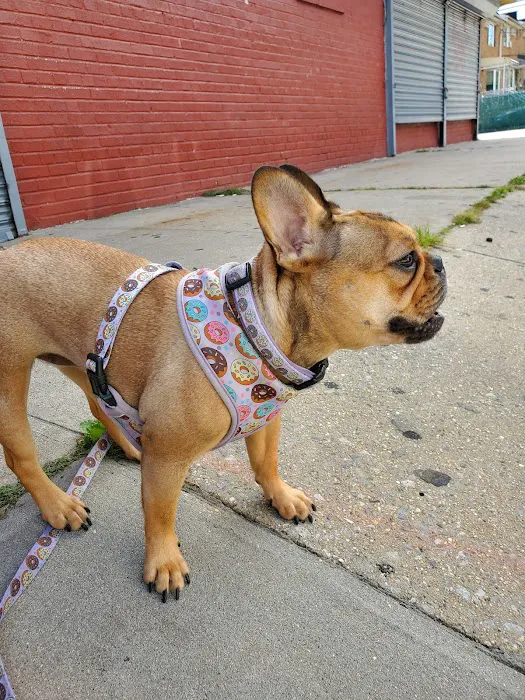 Petcare Animal Clinic Picture 10