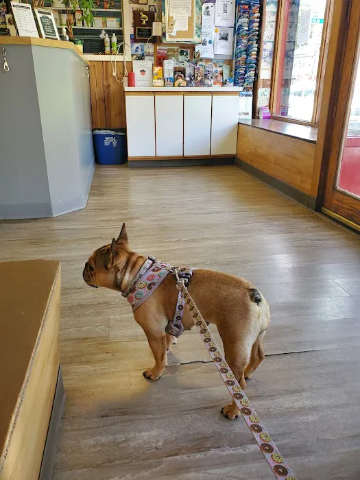 Petcare Animal Clinic Picture 9