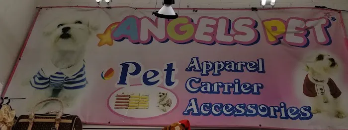 Angels Pet Picture 2