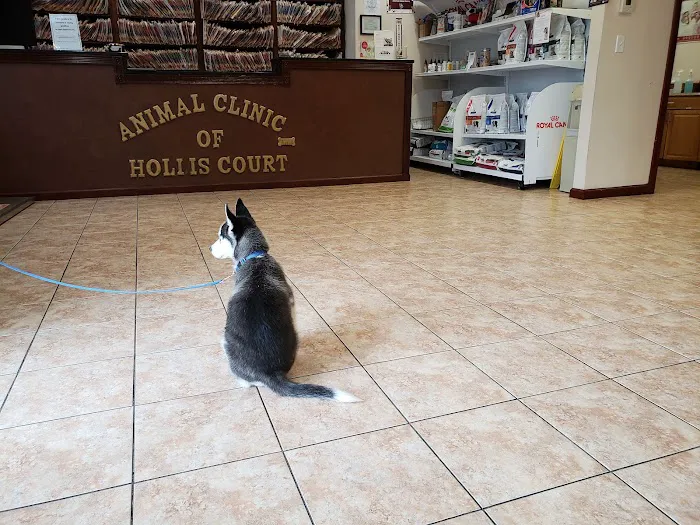 Animal Clinic of Hollis Court Picture 1