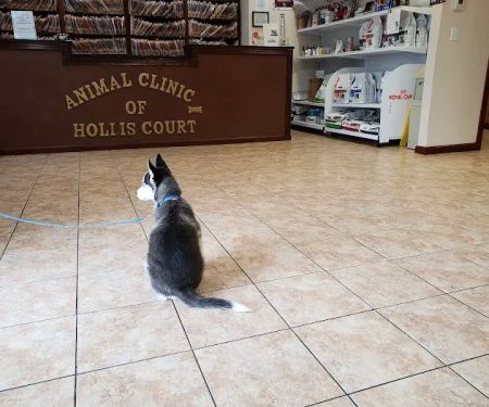 Animal Clinic of Hollis Court