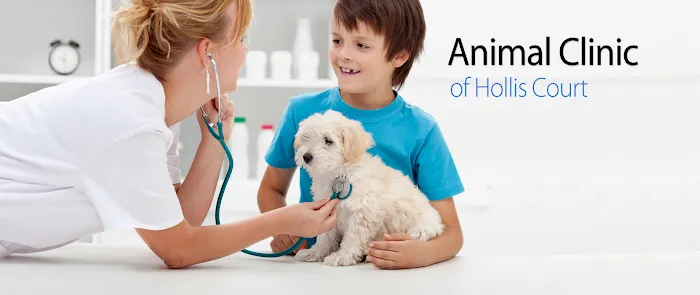 Animal Clinic of Hollis Court Picture 9