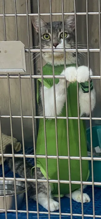 Animal Clinic of Hollis Court Picture 6