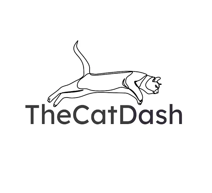 The Cat Dash Picture 1