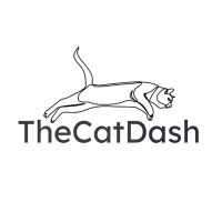 The Cat Dash ico