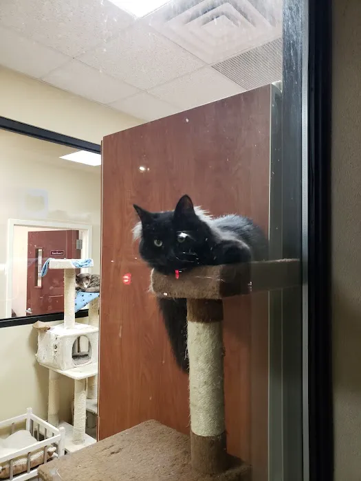 North Shore Animal Hospital Picture 9