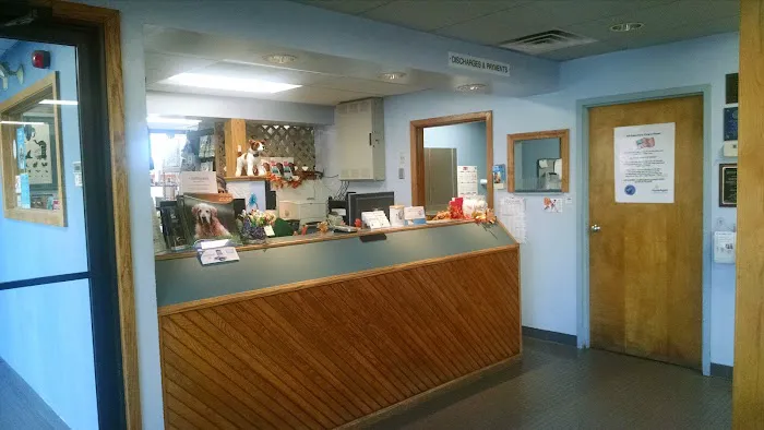 North Shore Animal Hospital Picture 3