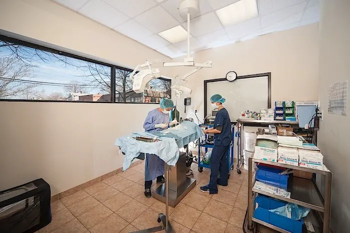 North Shore Animal Hospital Picture 2