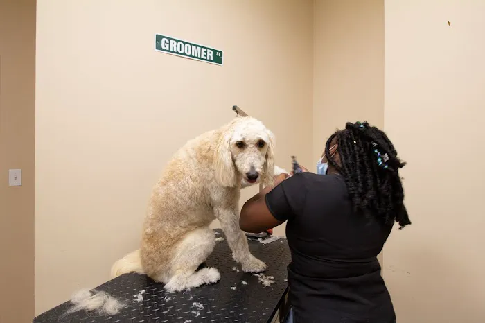 North Shore Animal Hospital Picture 4
