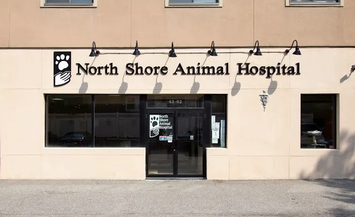 North Shore Animal Hospital Picture 10