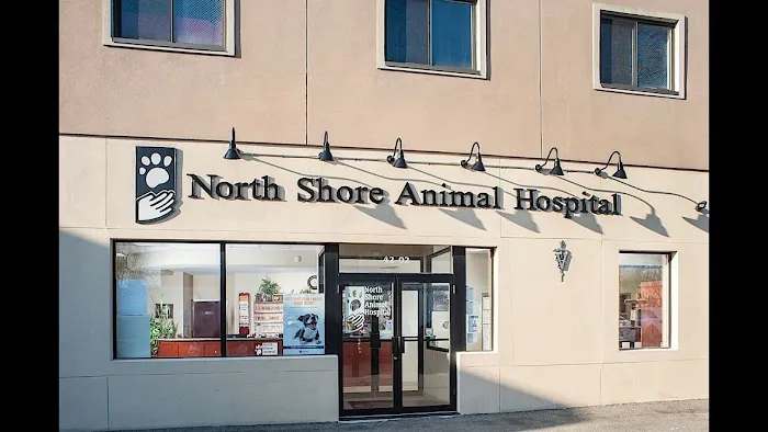 North Shore Animal Hospital Picture 1