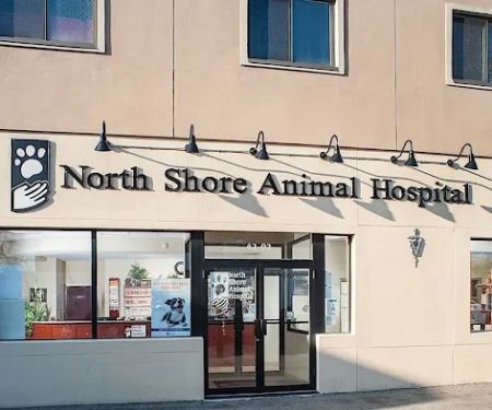 North Shore Animal Hospital