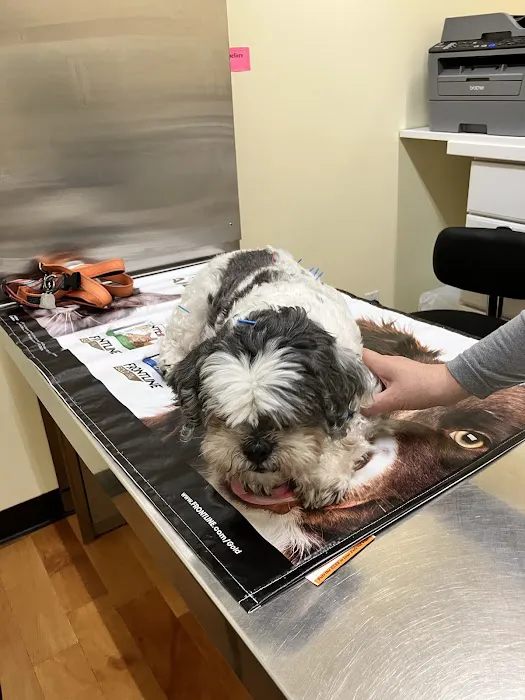 Petopia Animal Clinic Picture 8