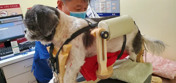 Petopia Animal Clinic Picture 4