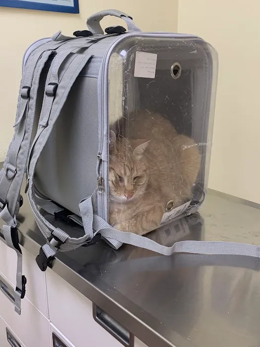 Petopia Animal Clinic Picture 7
