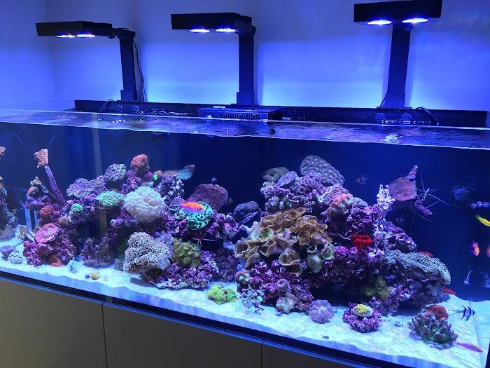LAX Aquarium Picture 2