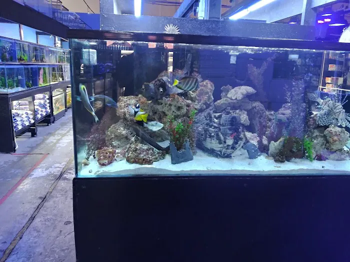 LAX Aquarium Picture 1