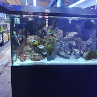 LAX Aquarium ico