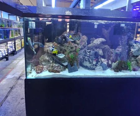 LAX Aquarium