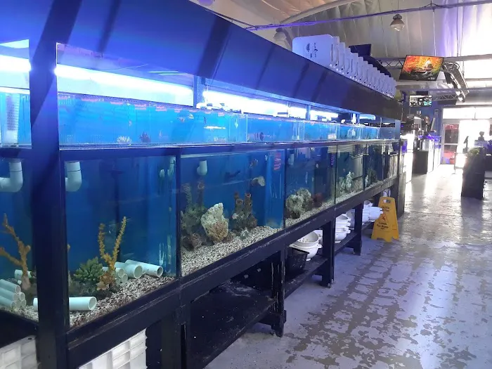 LAX Aquarium Picture 10