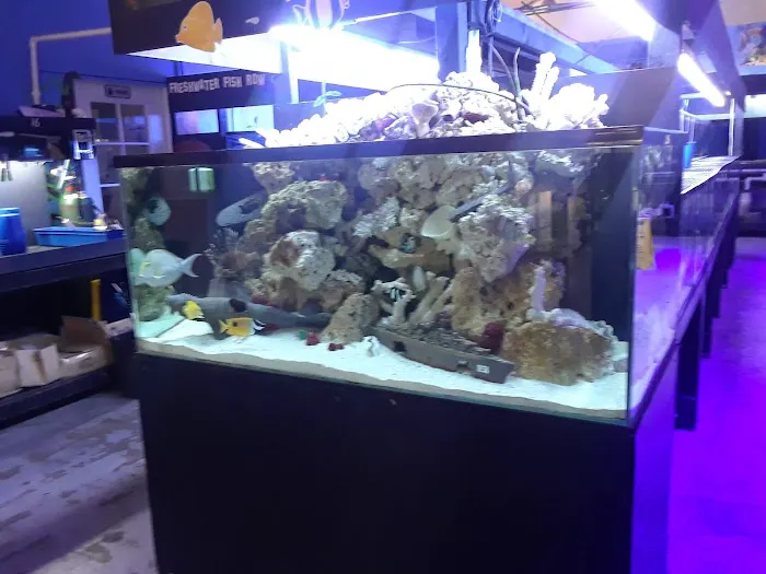 LAX Aquarium Picture 8