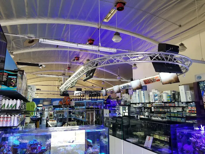 LAX Aquarium Picture 5