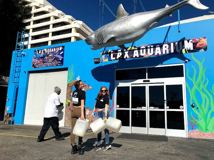 LAX Aquarium Picture 7