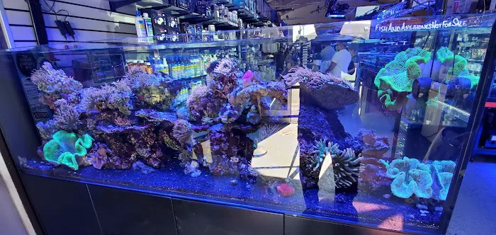 LAX Aquarium Picture 4