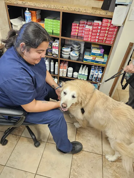 Premier Veterinary Medical Group - Bayside Picture 8