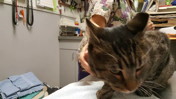 Flushing Veterinary Hospital Picture 1