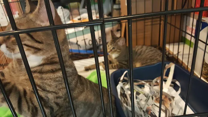 Flushing Veterinary Hospital Picture 7