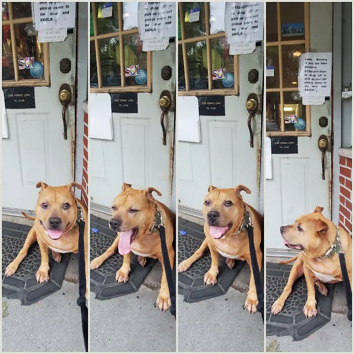 Flushing Veterinary Hospital Picture 10