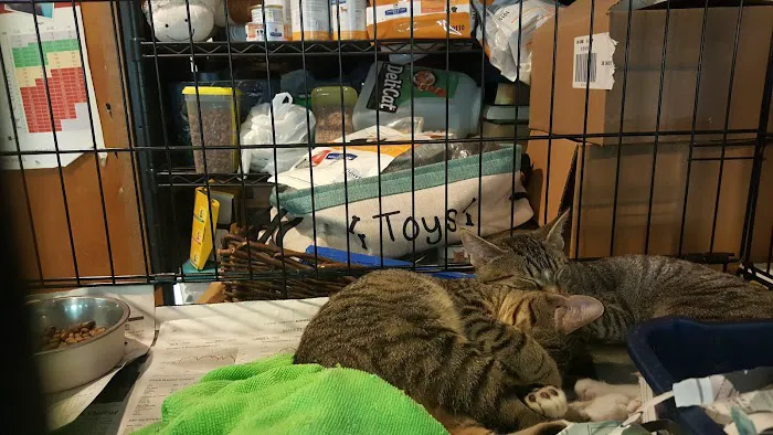 Flushing Veterinary Hospital Picture 3